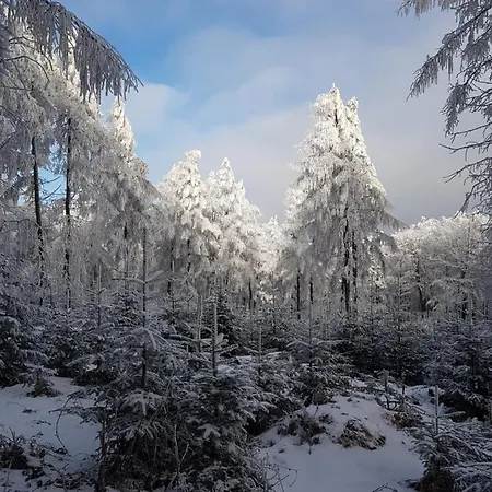 Gniewnik *